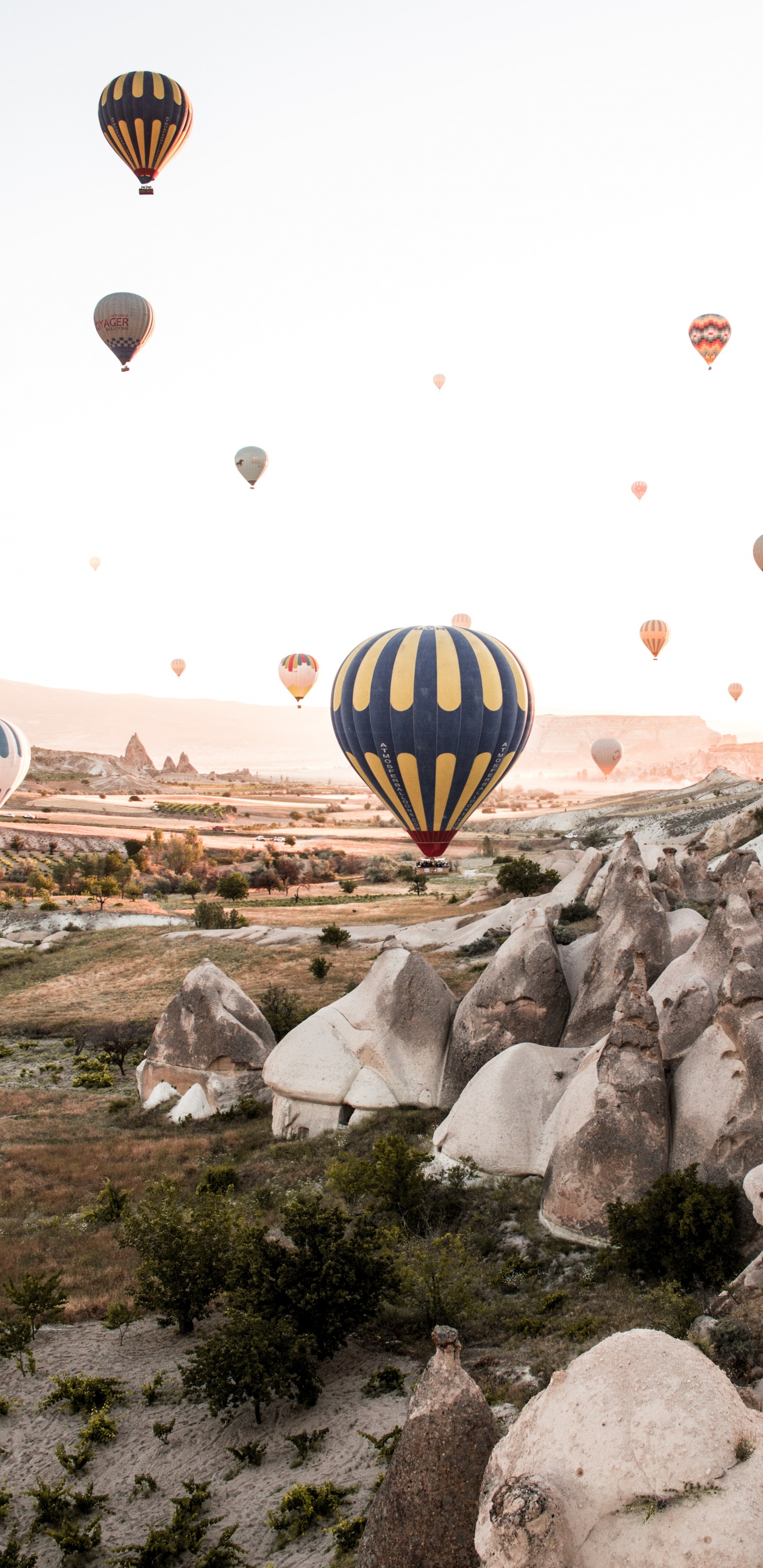 Обои полеты на воздушном шаре, отпуск, Полеты На Воздушном Шаре В Каппадокии, полет, отдых в разрешении 1440x2960