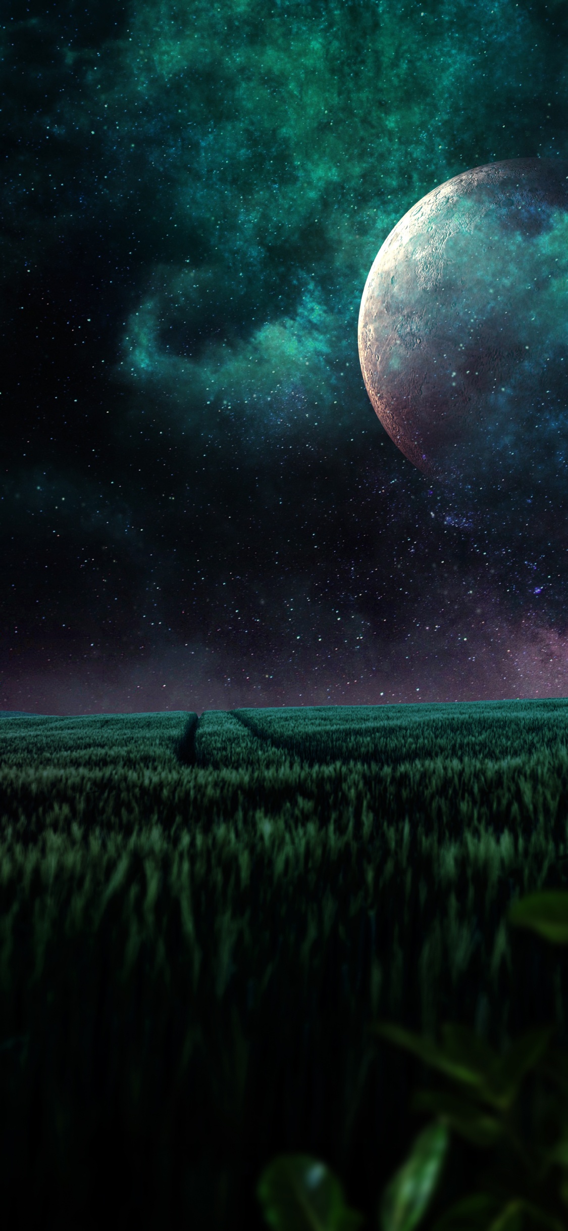 Обои природа, космическое пространство, космос, атмосфера, растение в разрешении 1125x2436