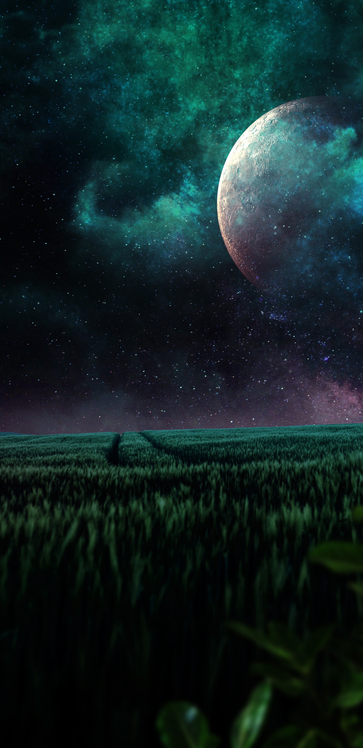 Обои природа, космическое пространство, космос, атмосфера, растение в разрешении 1440x2960