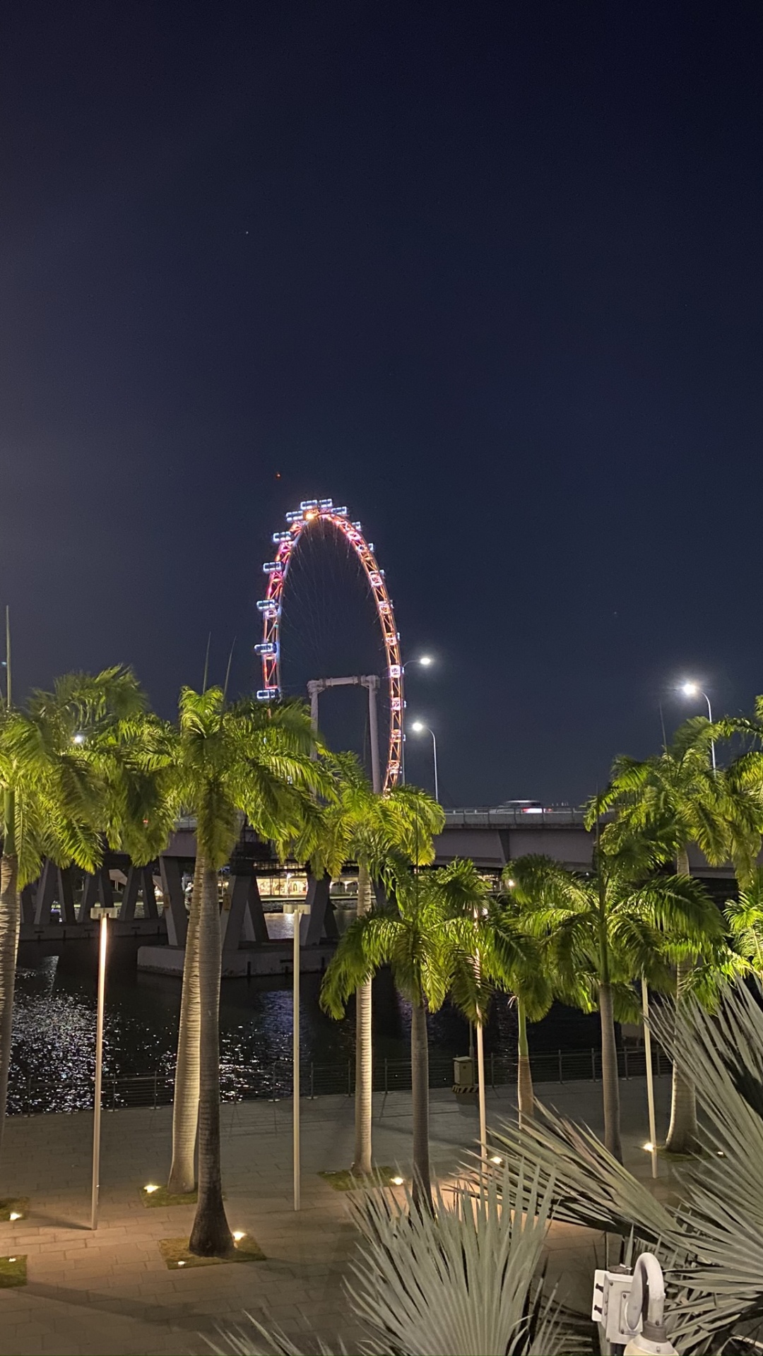 Обои Сингапур, ориентир, пальмовые рощи, ночь, сабаль минор в разрешении 1080x1920