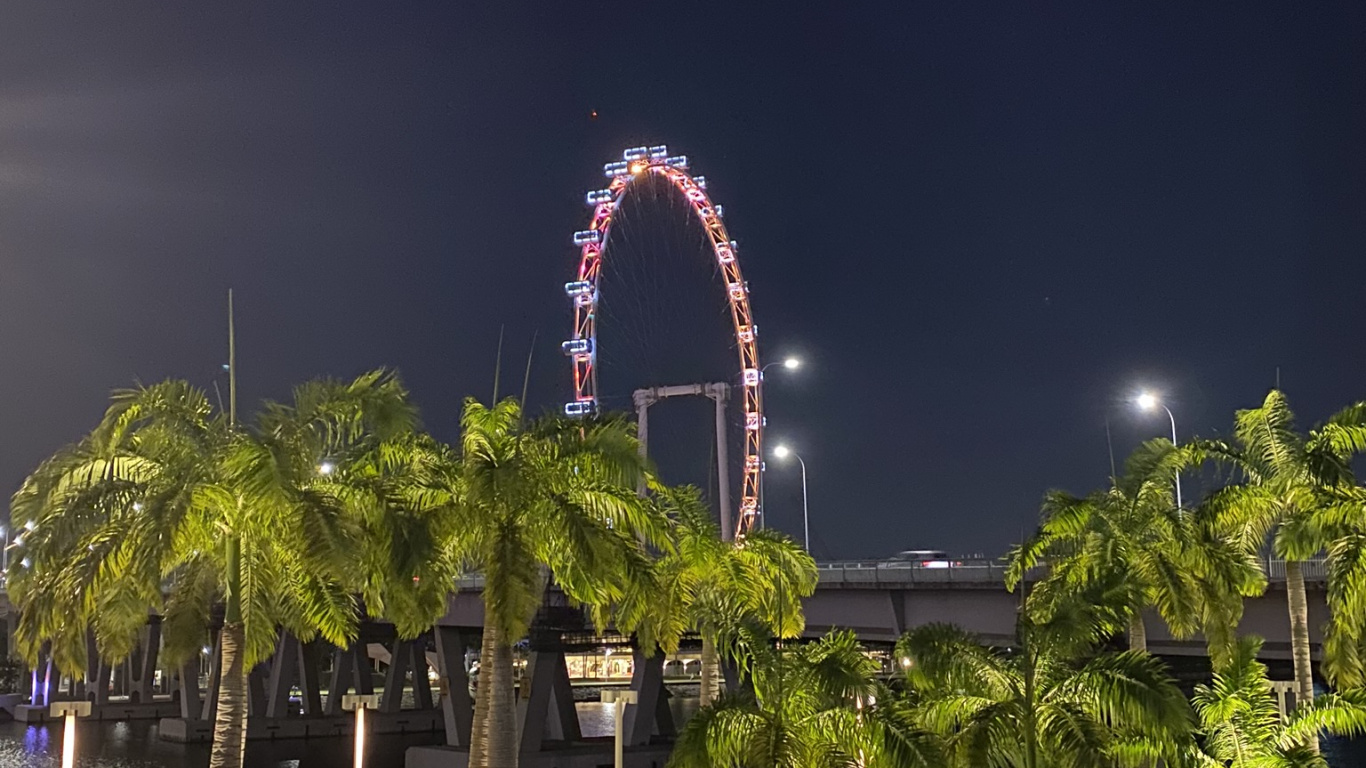 Обои Сингапур, ориентир, пальмовые рощи, ночь, сабаль минор в разрешении 1366x768