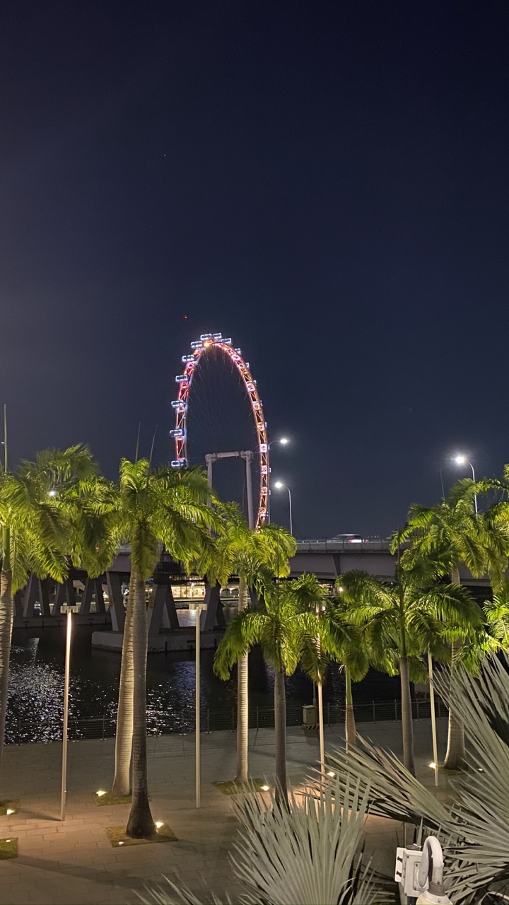 Обои Сингапур, ориентир, пальмовые рощи, ночь, сабаль минор в разрешении 720x1280