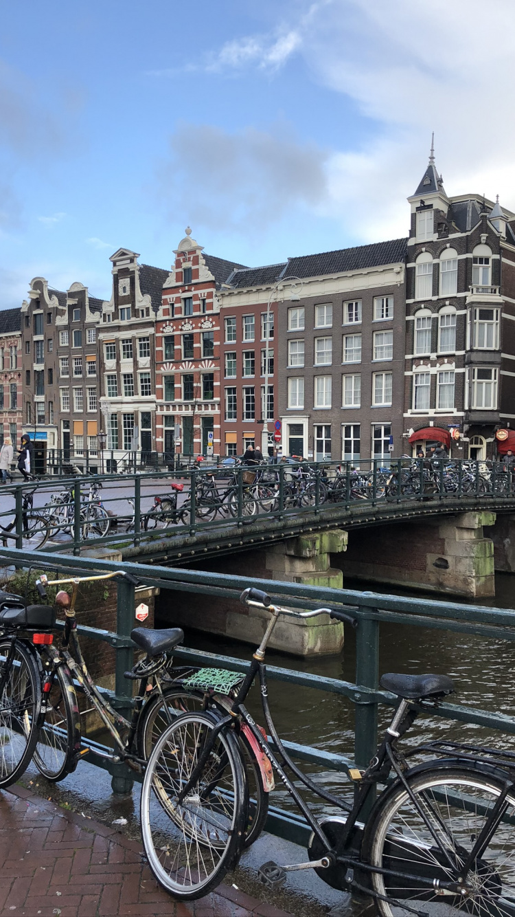 Обои Амстердам, дорожный велосипед, транспорт, велосипед, гибридный велосипед в разрешении 750x1334