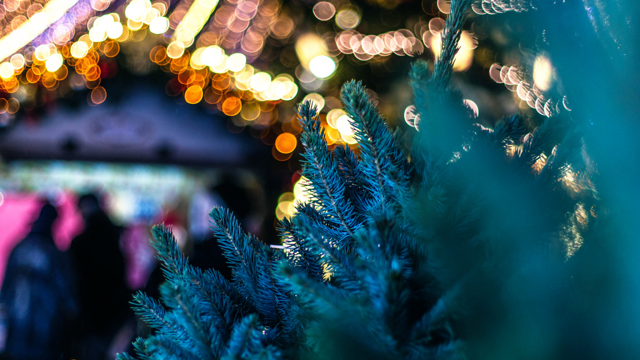 Обои Рождественский день, Рождественские огни, синий, дерево, Рождество в разрешении 1280x720