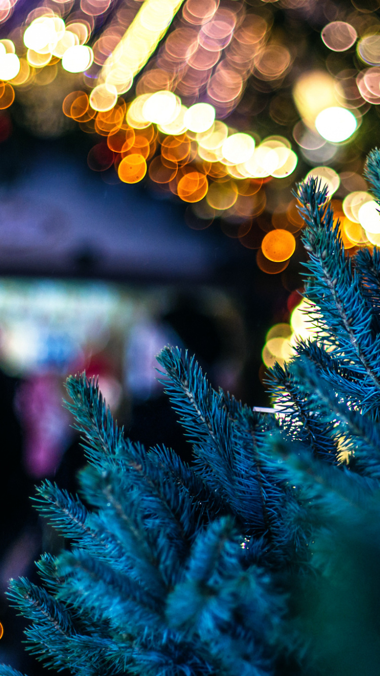 Обои Рождественский день, Рождественские огни, синий, дерево, Рождество в разрешении 750x1334