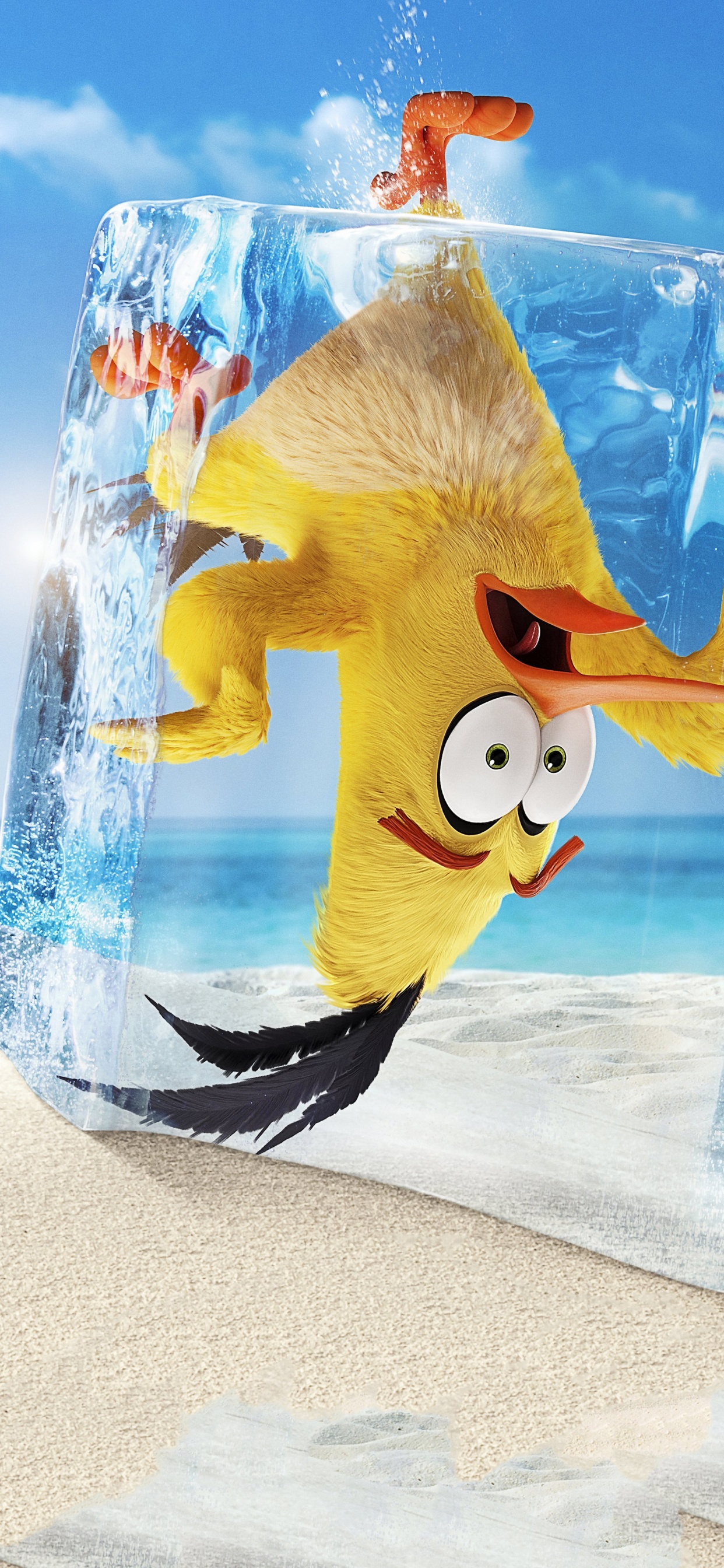 Обои могучий орел, зажимной патрон, бросить злых птиц, лазурный, вода в разрешении 1242x2688