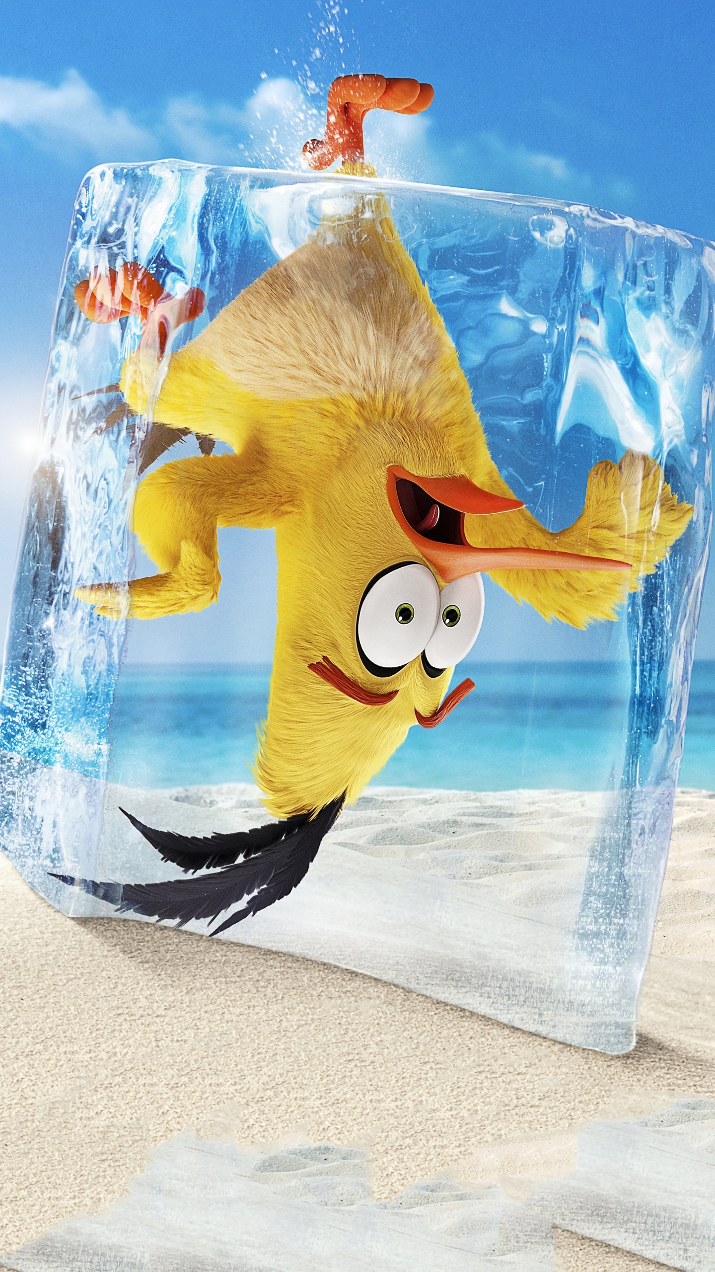 Обои могучий орел, зажимной патрон, бросить злых птиц, лазурный, вода в разрешении 1440x2560