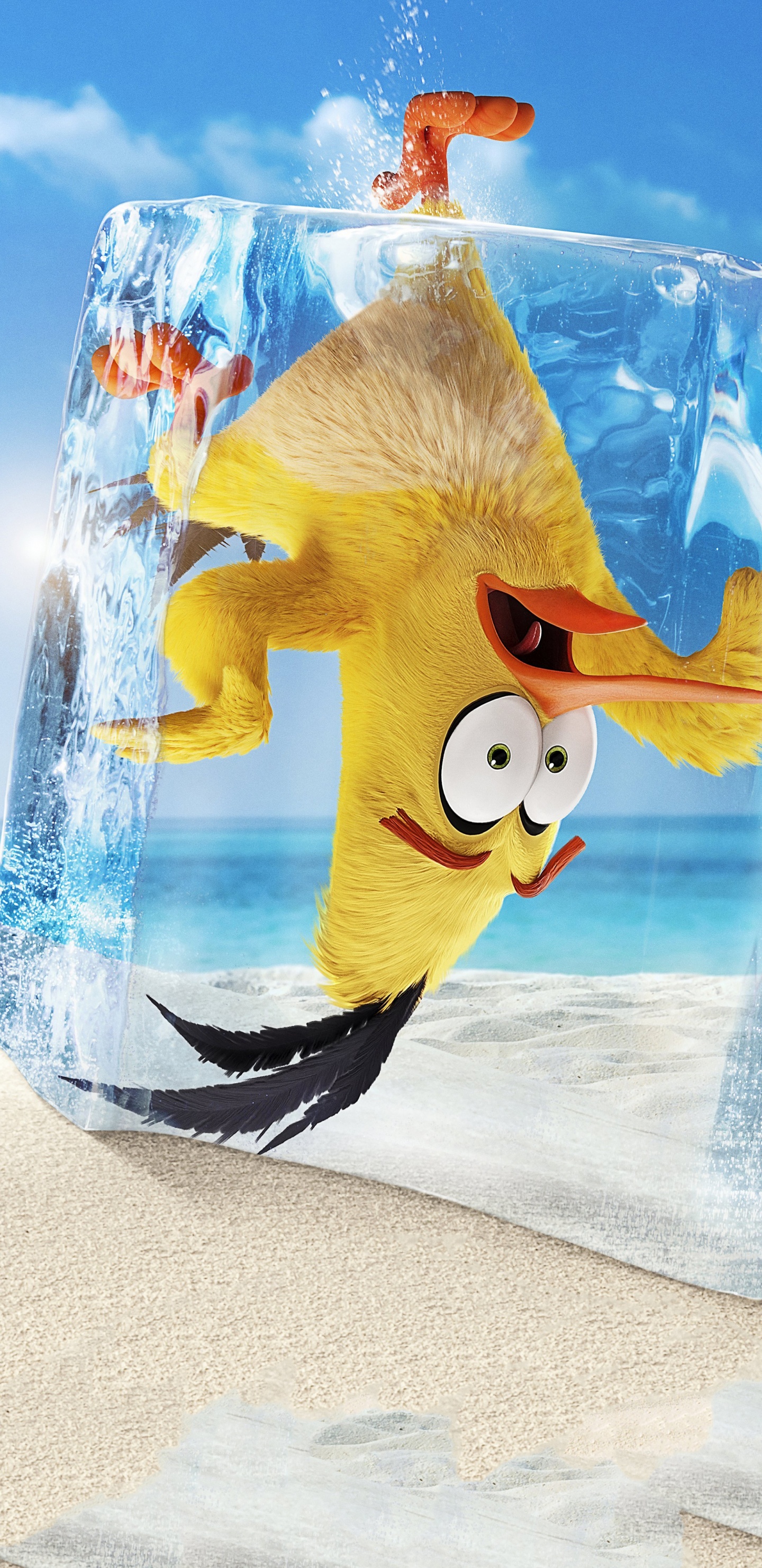 Обои могучий орел, зажимной патрон, бросить злых птиц, лазурный, вода в разрешении 1440x2960