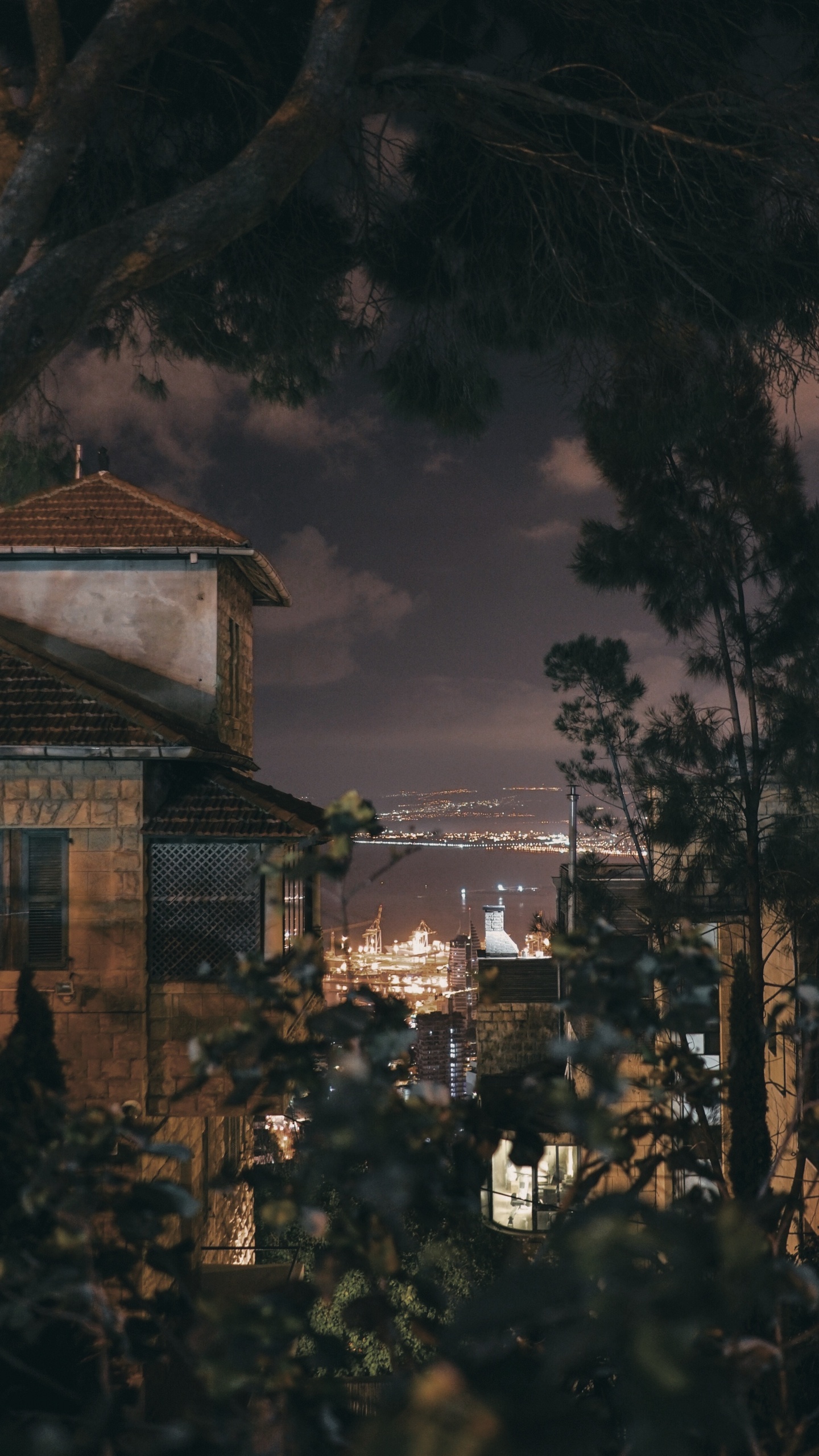 Обои Как Высоко Луна, Apple Музыка, атмосфера, облако, дерево в разрешении 1440x2560