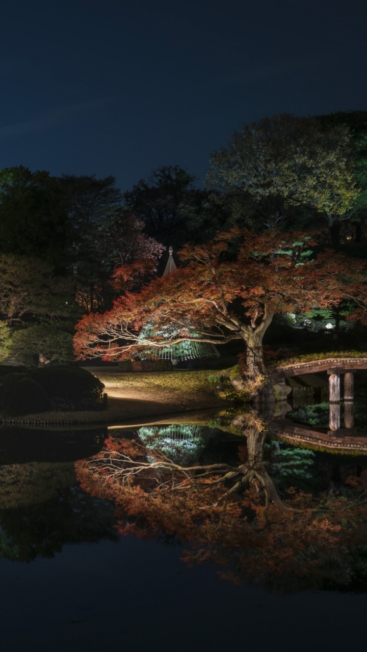 Обои ночь, отражение, природа, вода, освещение в разрешении 720x1280