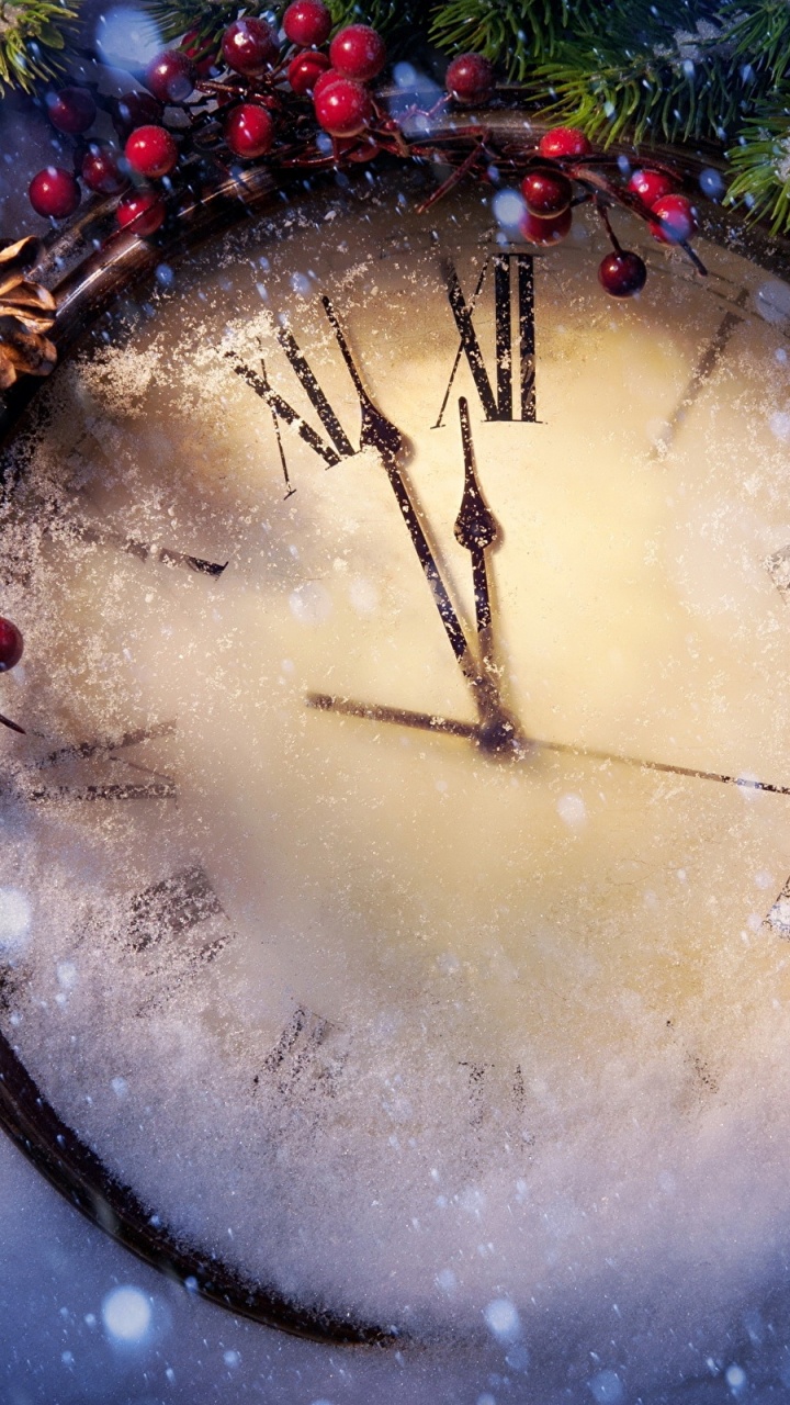 Обои Новый год, дерево, рождественский орнамент, Рождество, ветвь в разрешении 720x1280