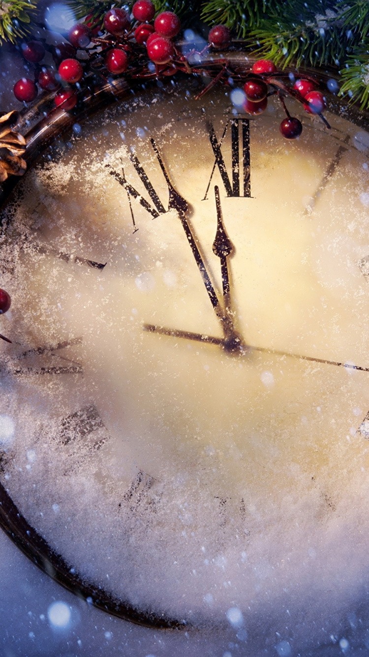 Обои Новый год, дерево, рождественский орнамент, Рождество, ветвь в разрешении 750x1334