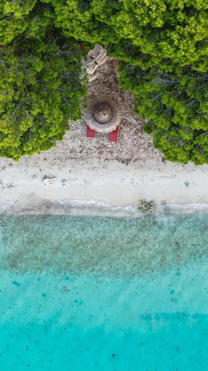 Обои вода, пляж, гидроресурсы, зеленый, водоток в разрешении 720x1280