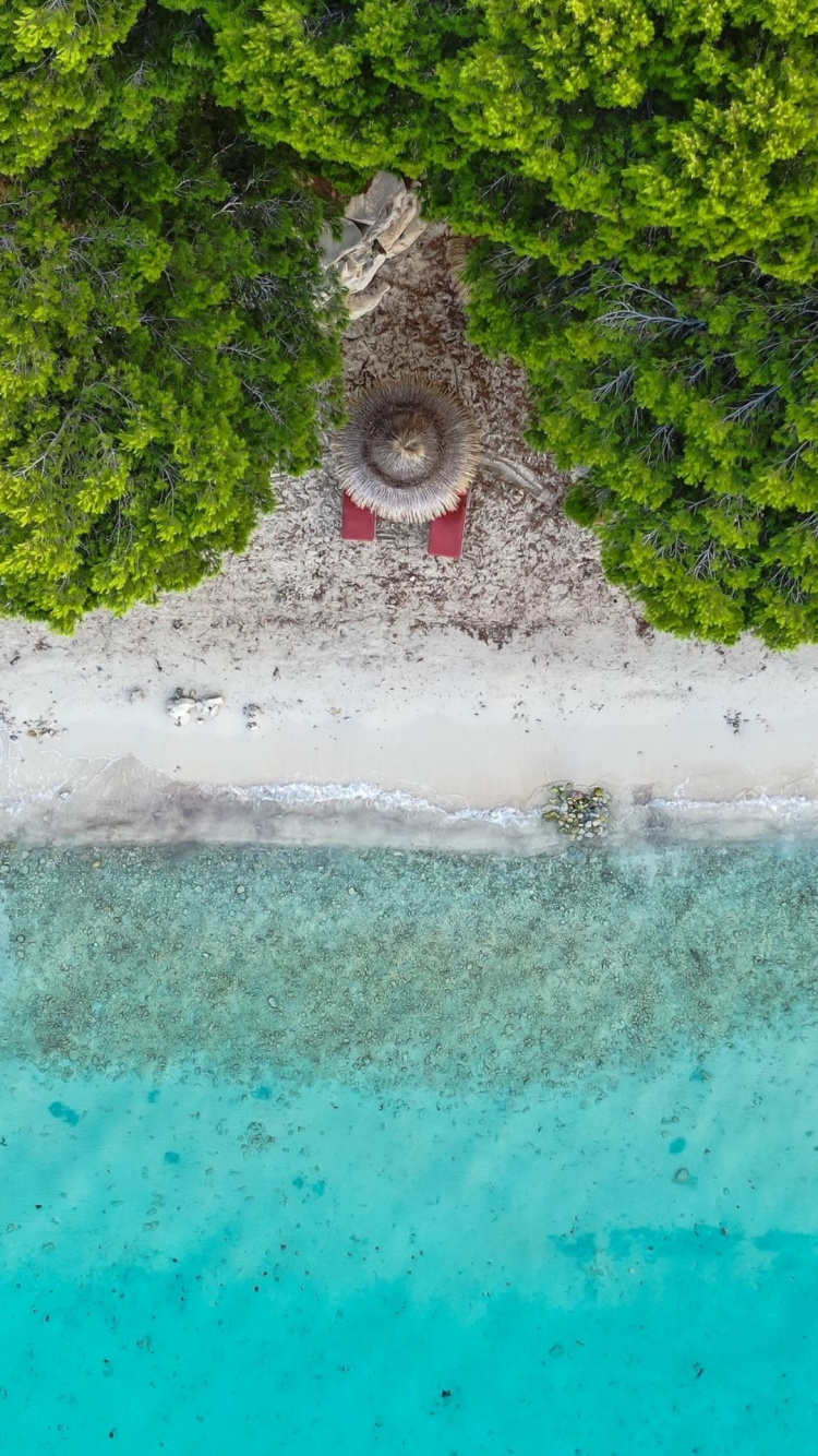 Обои вода, пляж, гидроресурсы, зеленый, водоток в разрешении 750x1334