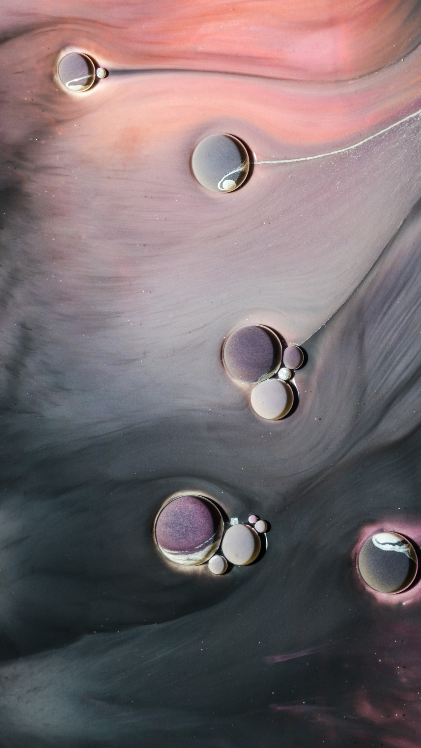 Обои пена, жидкий, волосы, голова, губа в разрешении 1440x2560