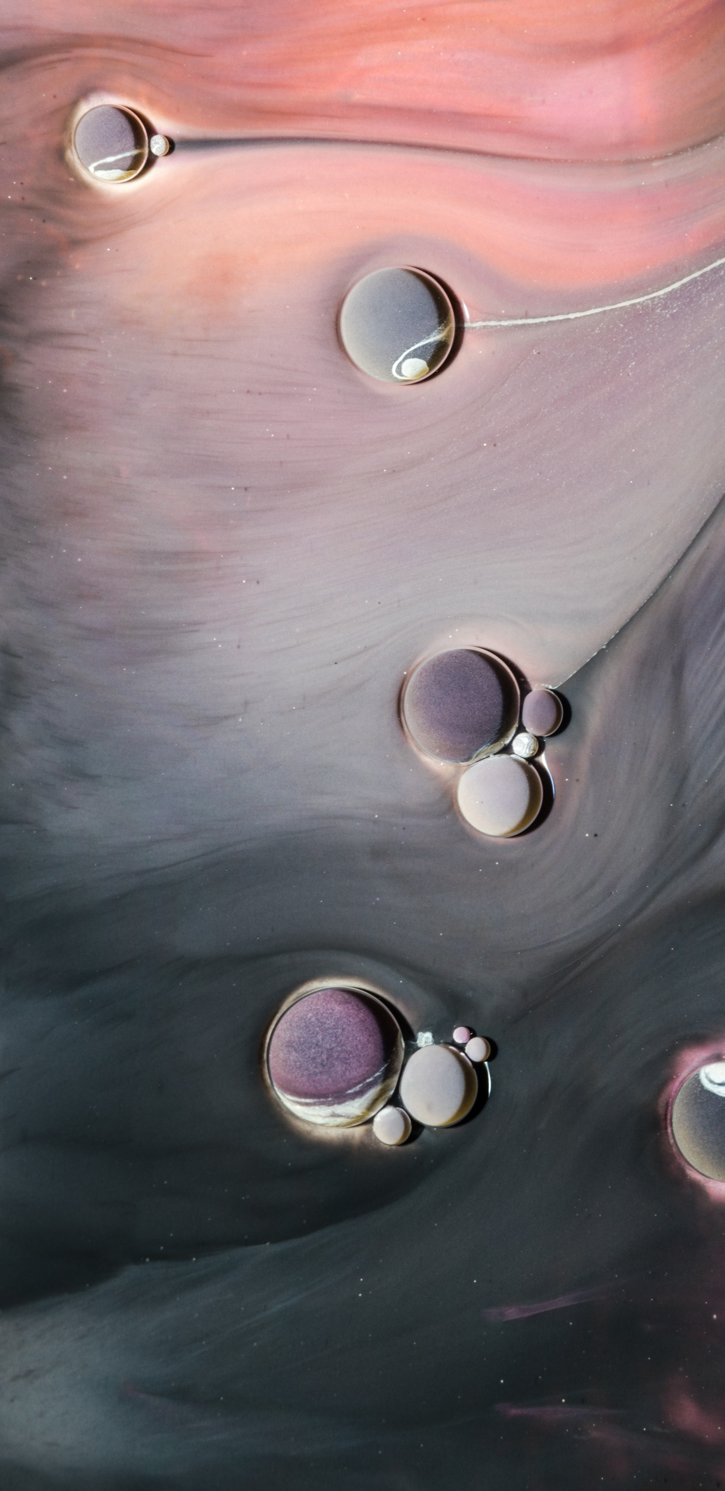 Обои пена, жидкий, волосы, голова, губа в разрешении 1440x2960