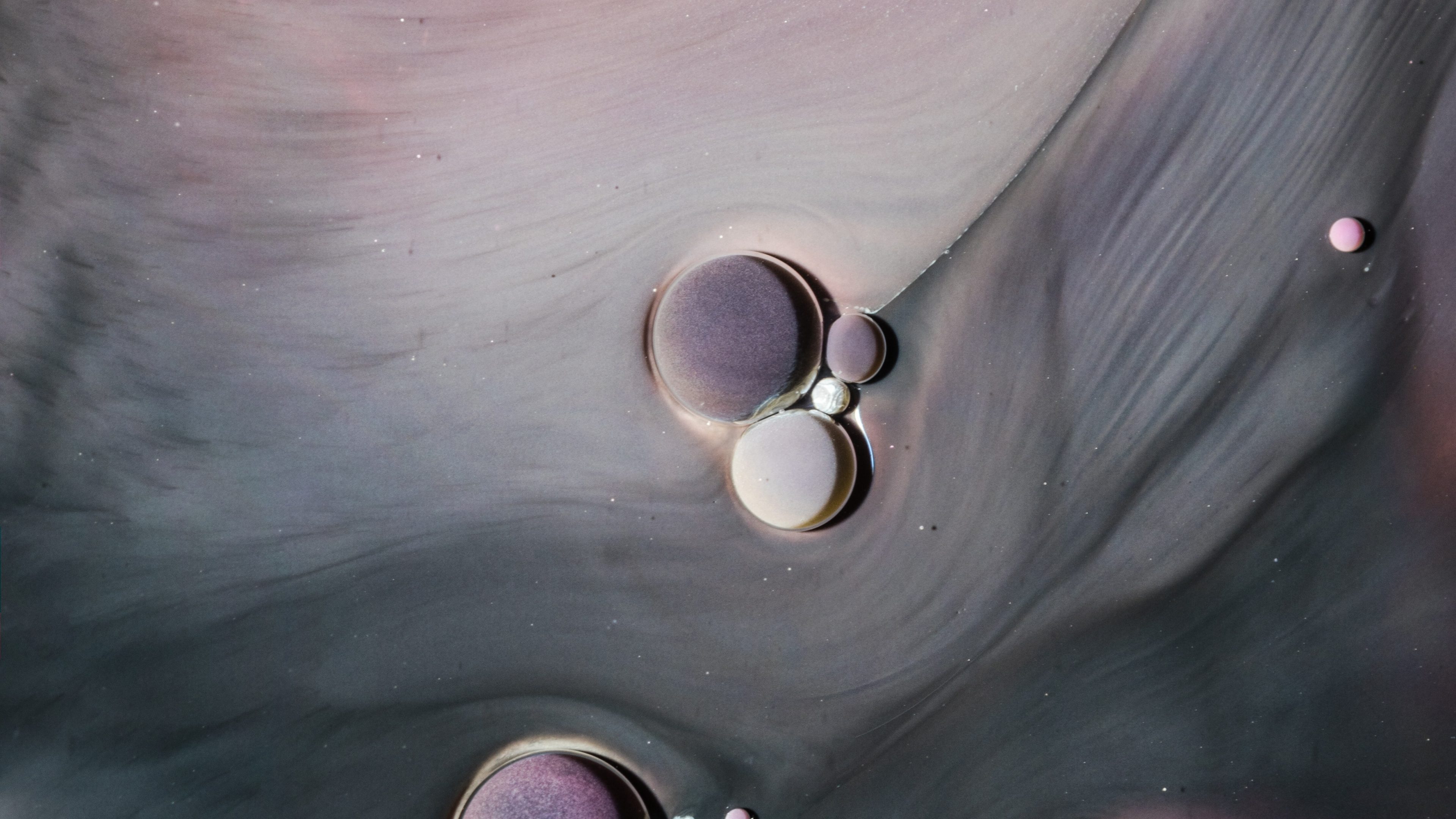 Обои пена, жидкий, волосы, голова, губа в разрешении 3840x2160