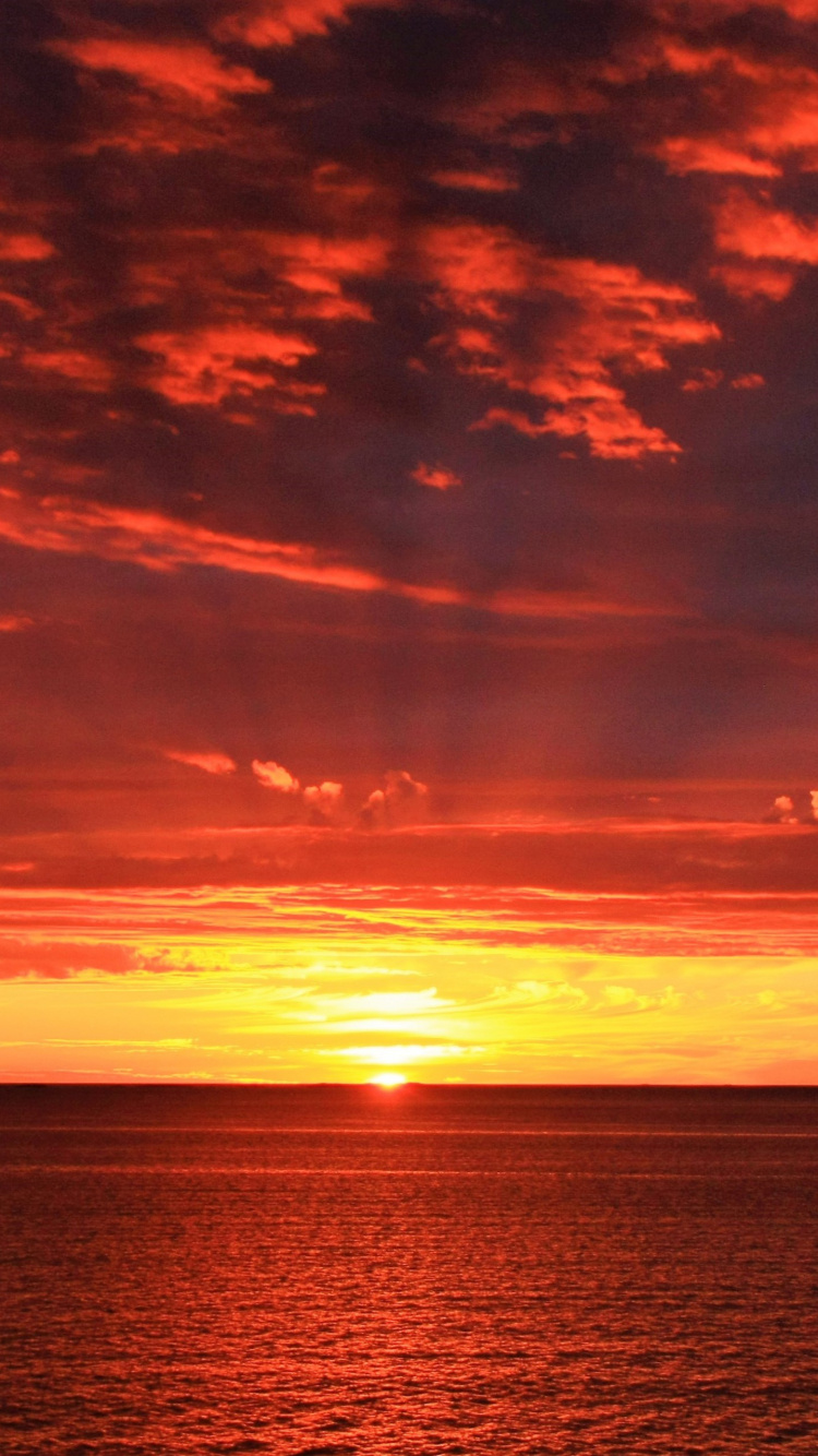 Обои восход солнца, закат, послесвечение, горизонт, море в разрешении 750x1334