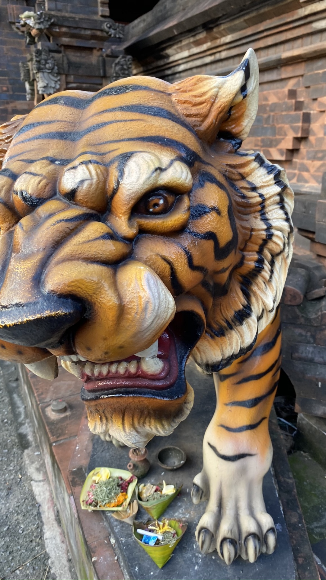 Обои голова, бенгальский тигр, кошачьих, Амурский тигр, тигр в разрешении 1080x1920