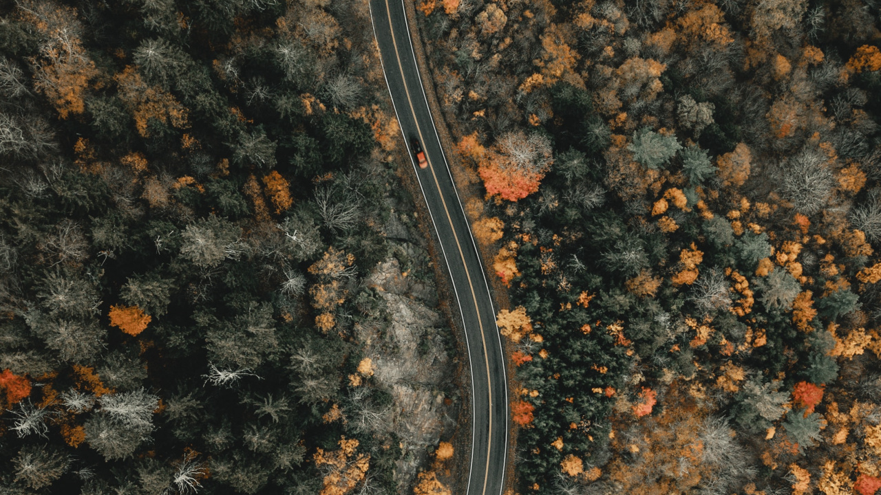 Обои почва, Anguidae, Северная Каролина, только Иисус, Канадский Гусь в разрешении 1280x720