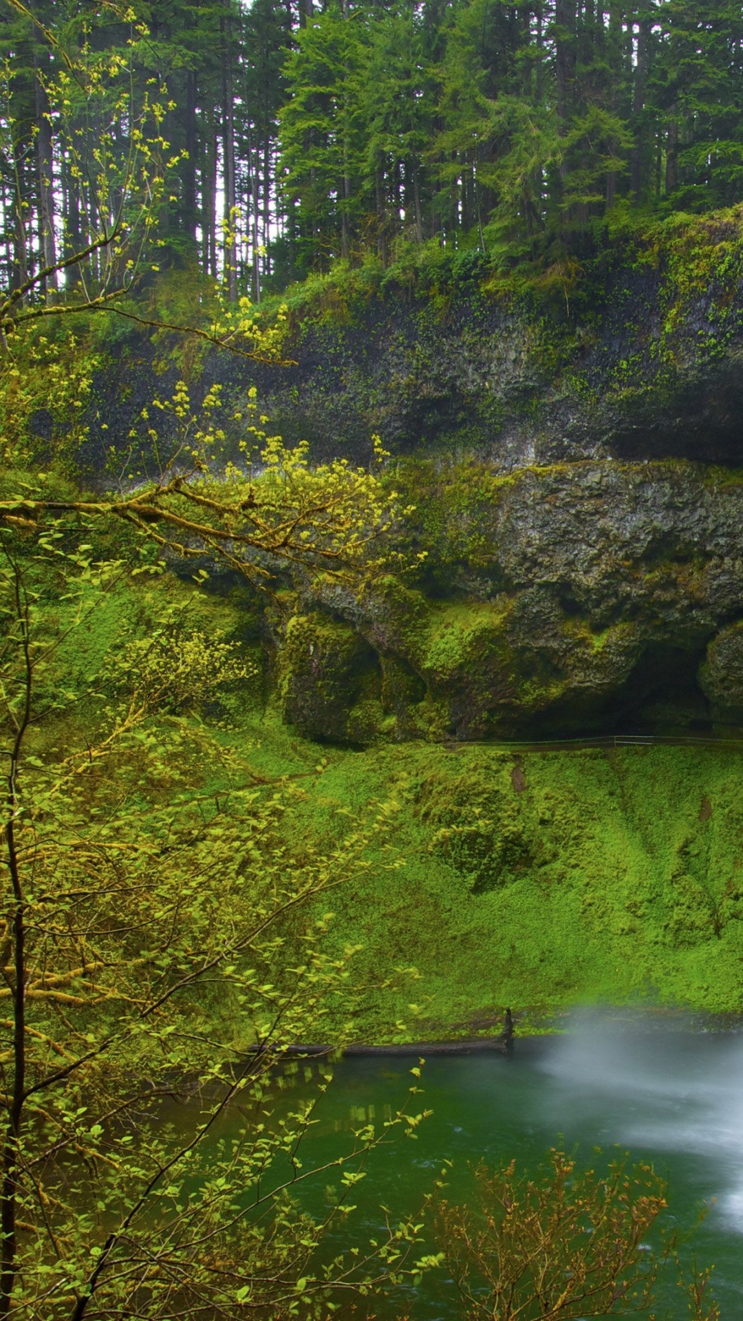 Обои водопад, водоток, природа, гидроресурсы, водоем в разрешении 1080x1920