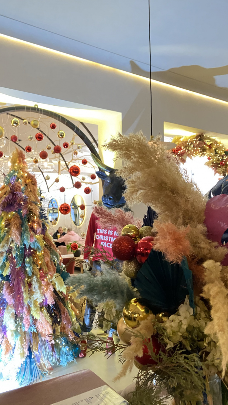 Обои Рождественские украшения, Рождественский день, фестиваль, дизайн интерьера, флористики в разрешении 750x1334