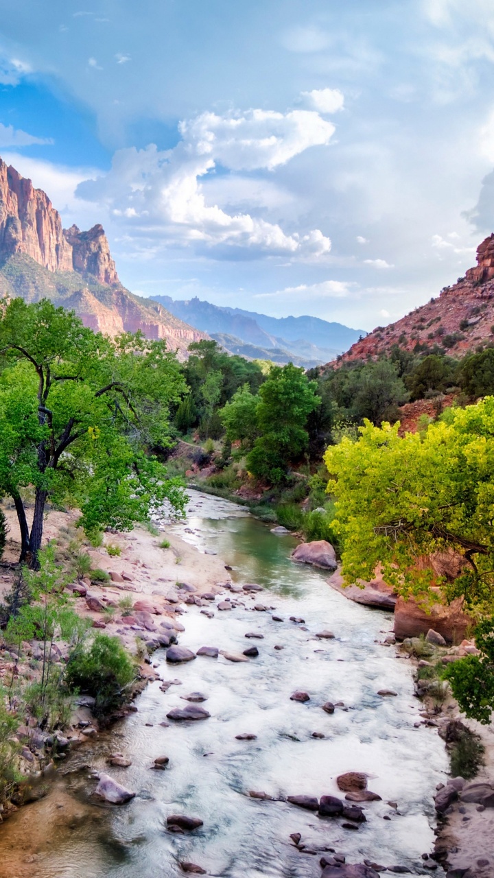 Обои национальный парк зайон, природа, горный рельеф, дикая местность, природный заповедник в разрешении 720x1280