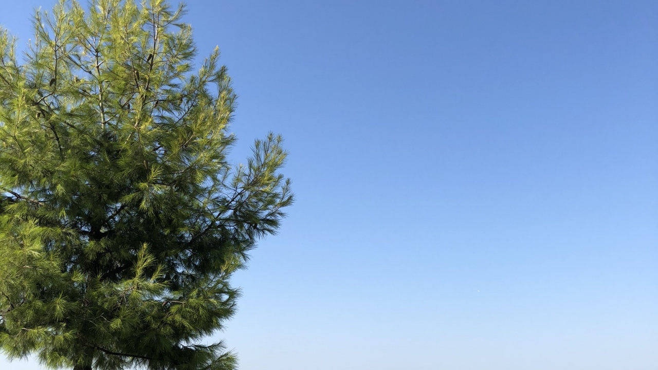 Обои вода, ветвь, скамейка, скамейка на открытом воздухе, уличная мебель в разрешении 1280x720