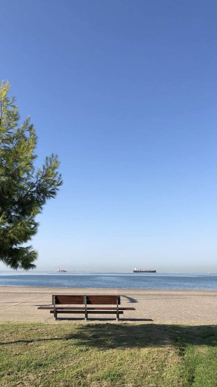 Обои вода, ветвь, скамейка, скамейка на открытом воздухе, уличная мебель в разрешении 720x1280