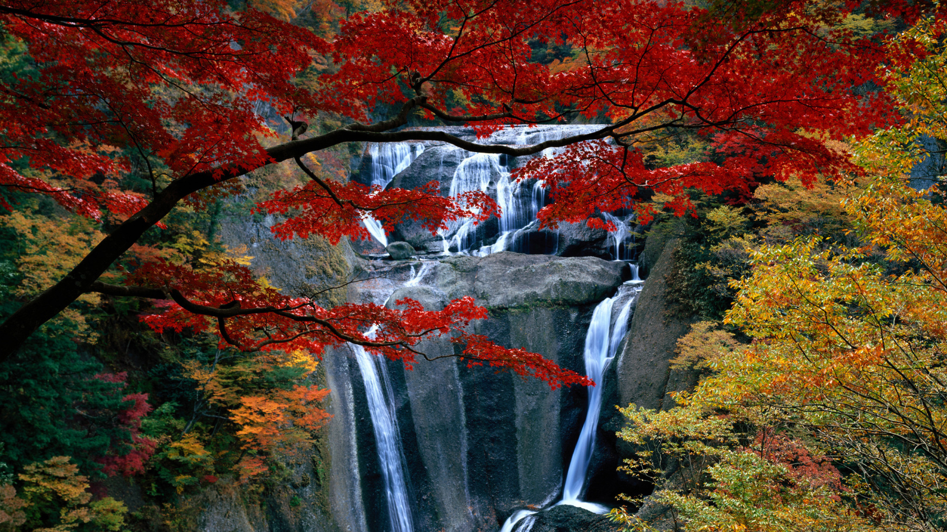 Обои Fukuroda Падает, Ниагарский водопад, водопад, Tahquamenon Падает, водоем в разрешении 1920x1080