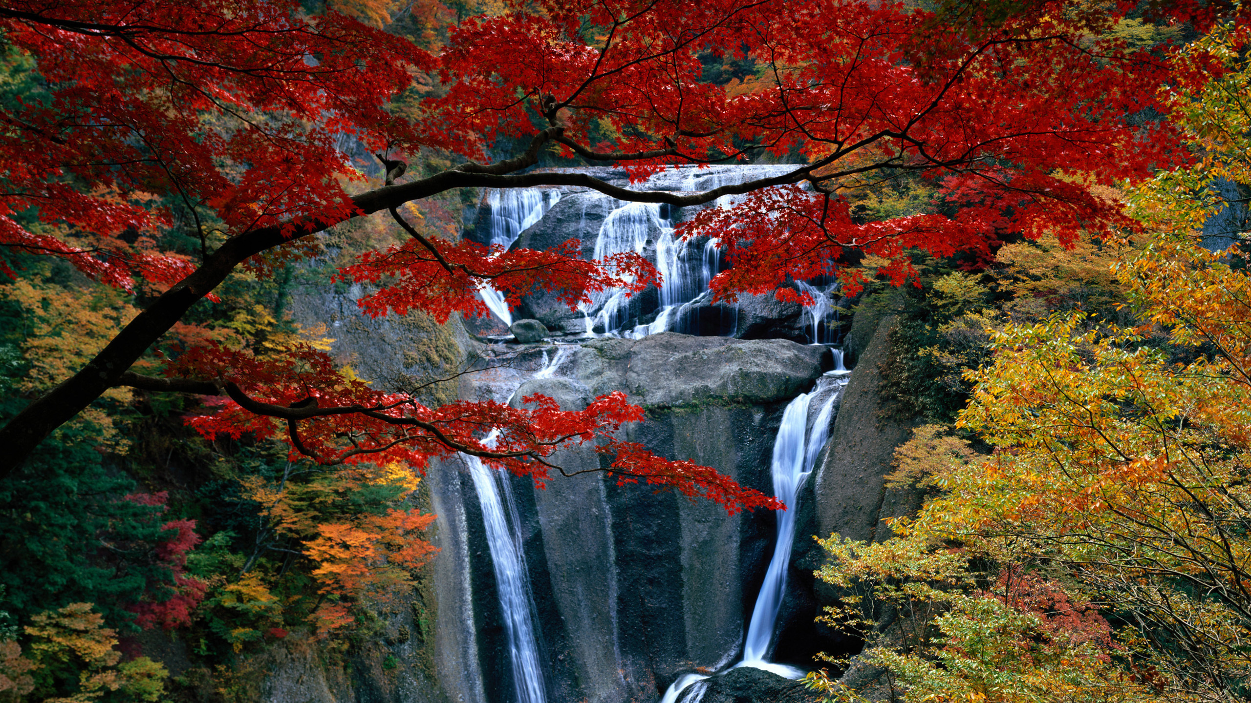 Обои Fukuroda Падает, Ниагарский водопад, водопад, Tahquamenon Падает, водоем в разрешении 2560x1440