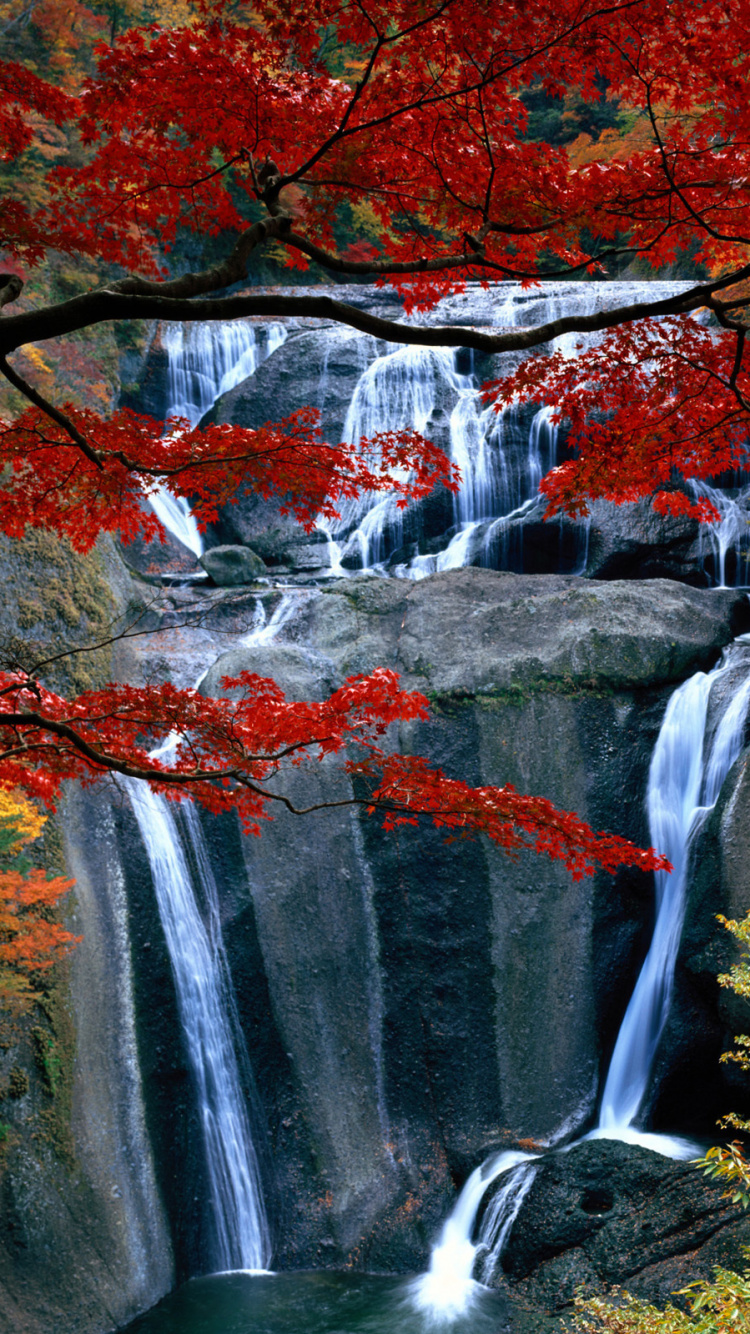 Обои Fukuroda Падает, Ниагарский водопад, водопад, Tahquamenon Падает, водоем в разрешении 750x1334