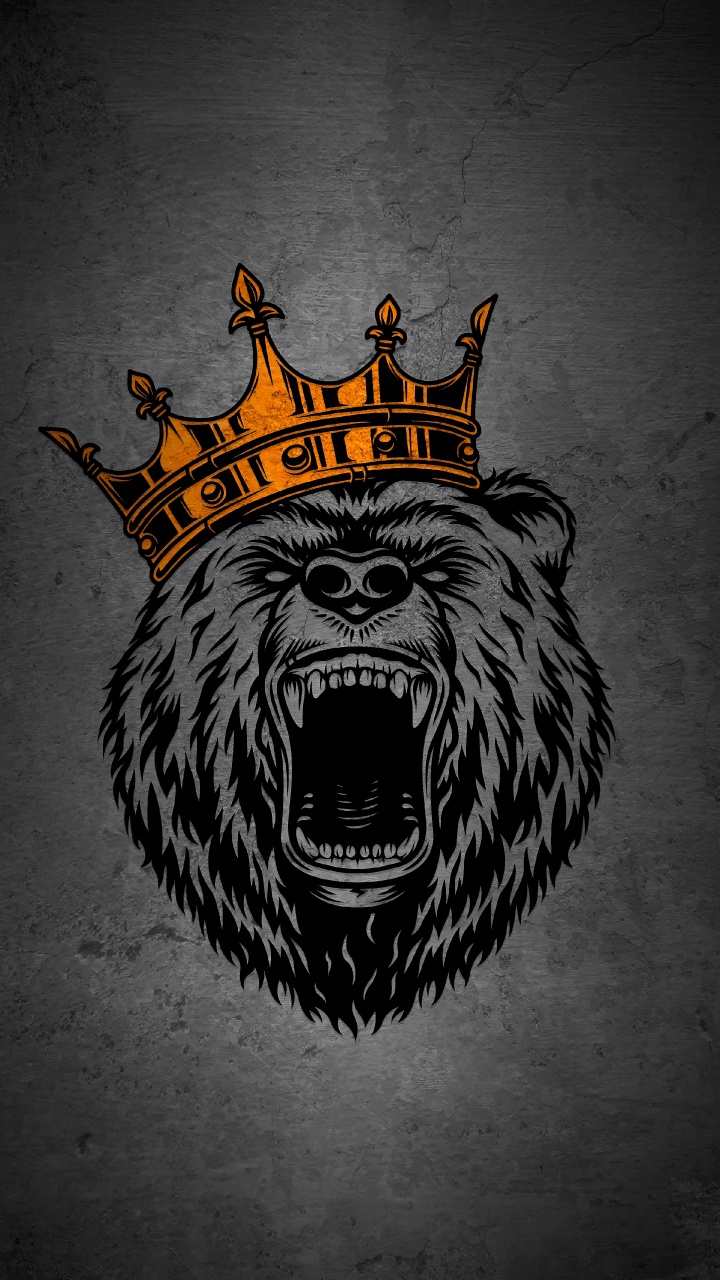 Обои медведь с короной, Гризли, белый медведь, плюшевый мишка, футболка в разрешении 720x1280