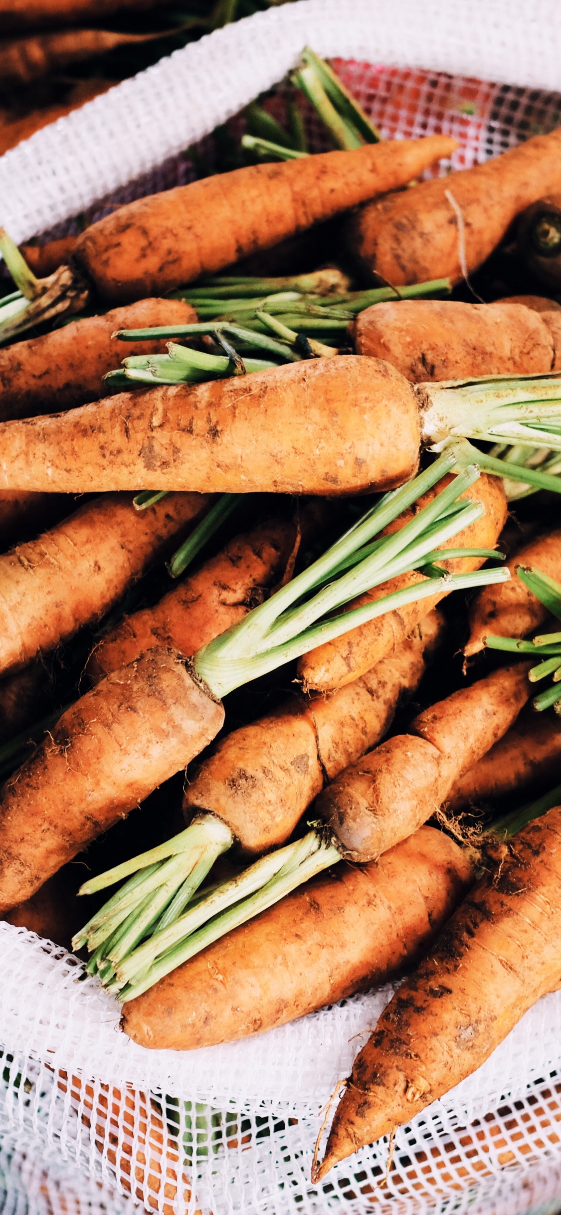 Обои продукция, морковь, пища, овощ, блюда в разрешении 1125x2436