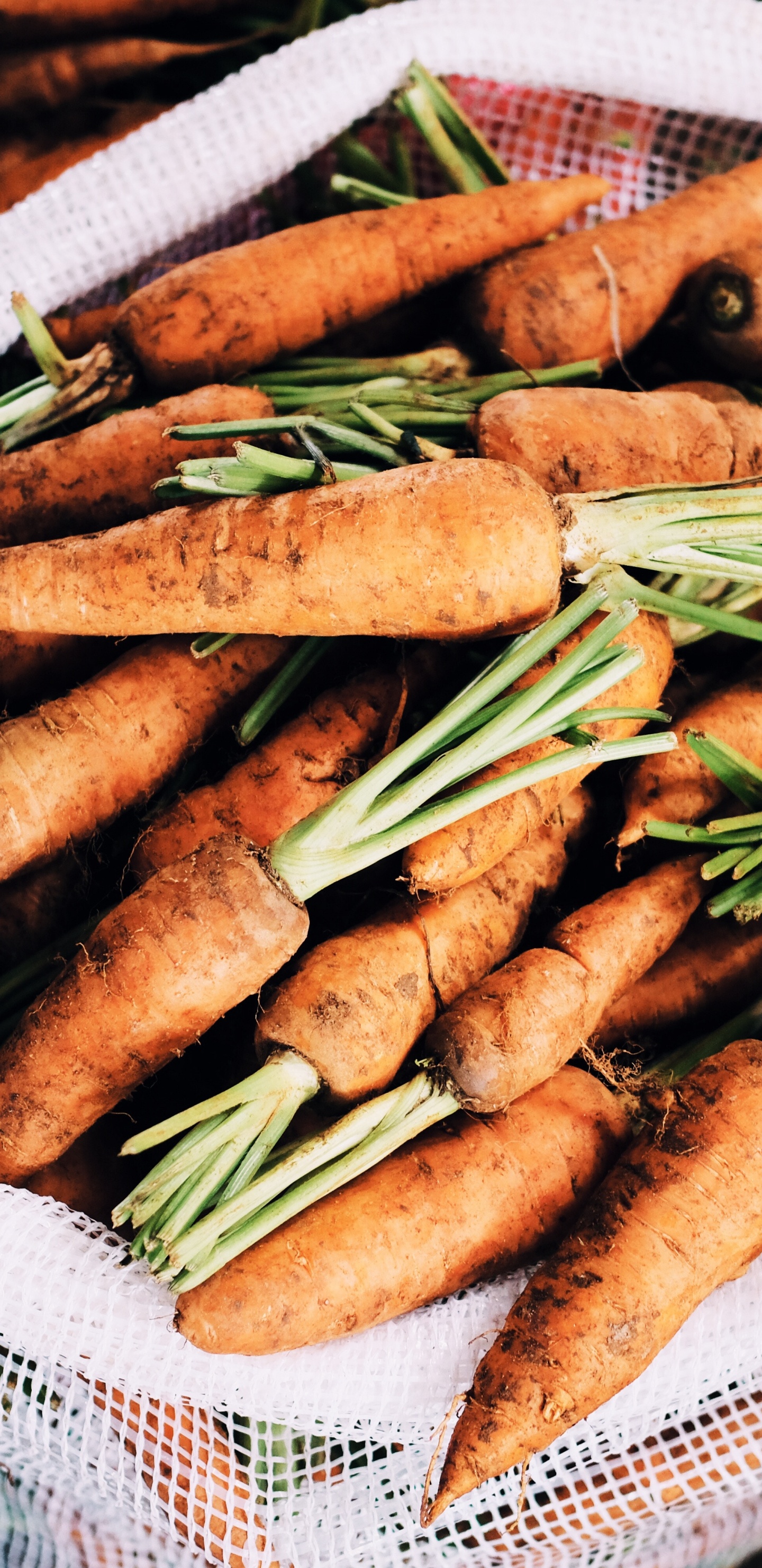 Обои продукция, морковь, пища, овощ, блюда в разрешении 1440x2960