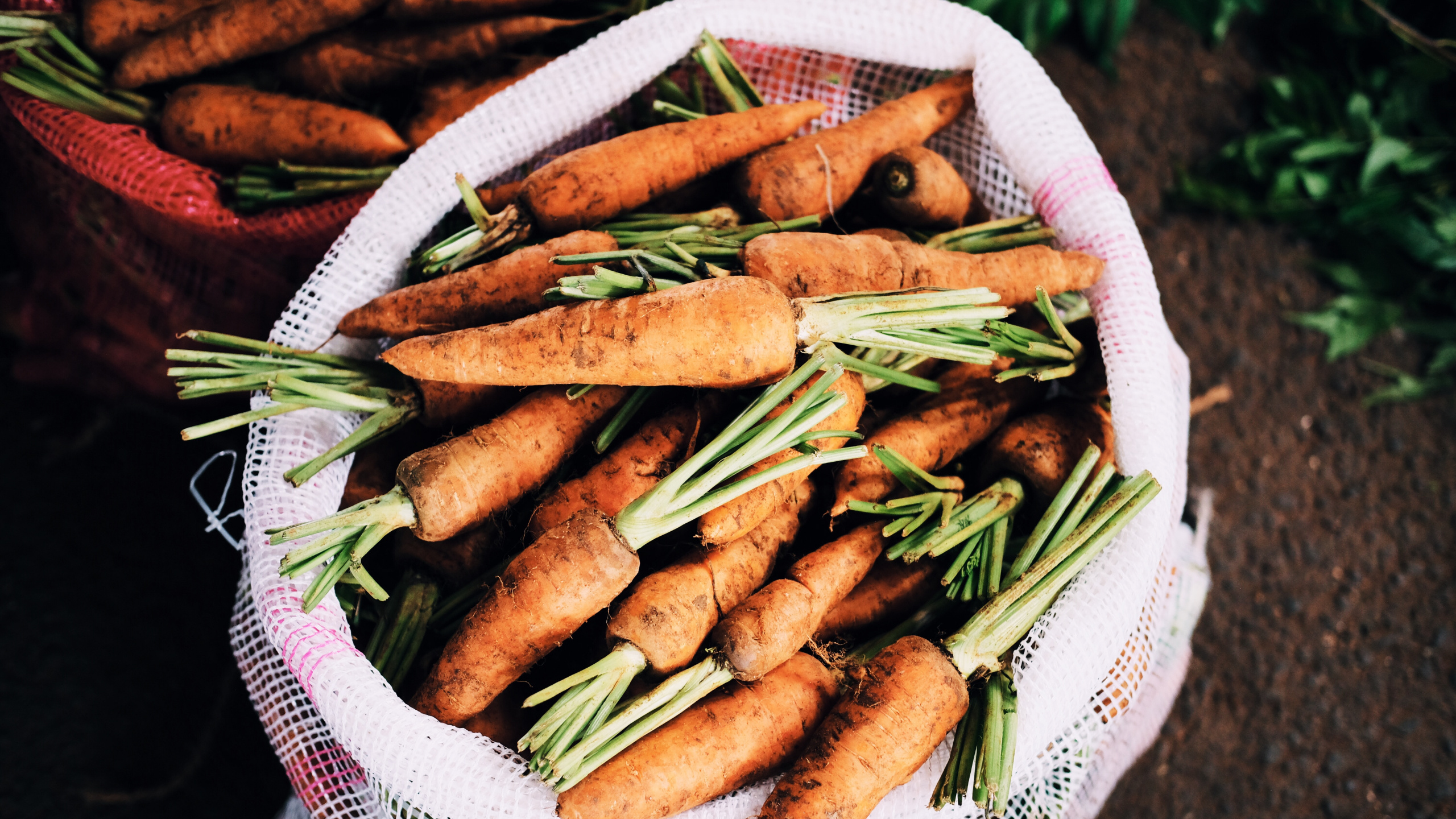 Обои продукция, морковь, пища, овощ, блюда в разрешении 2560x1440