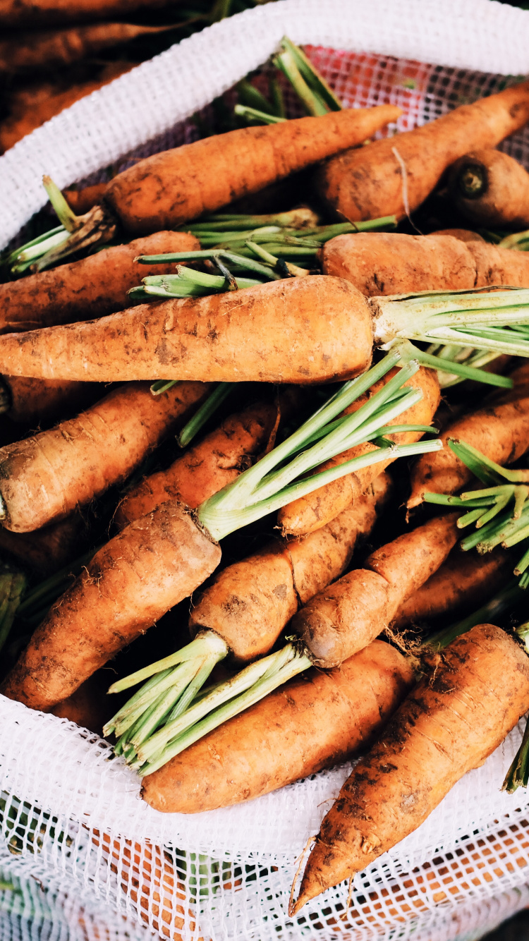 Обои продукция, морковь, пища, овощ, блюда в разрешении 750x1334