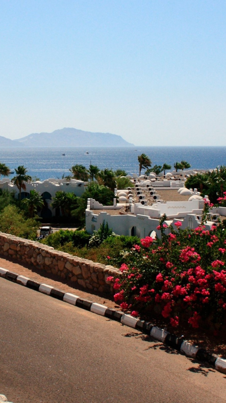 Обои побережье, Великий Сфинкс Гизы, город, туризм, море в разрешении 750x1334