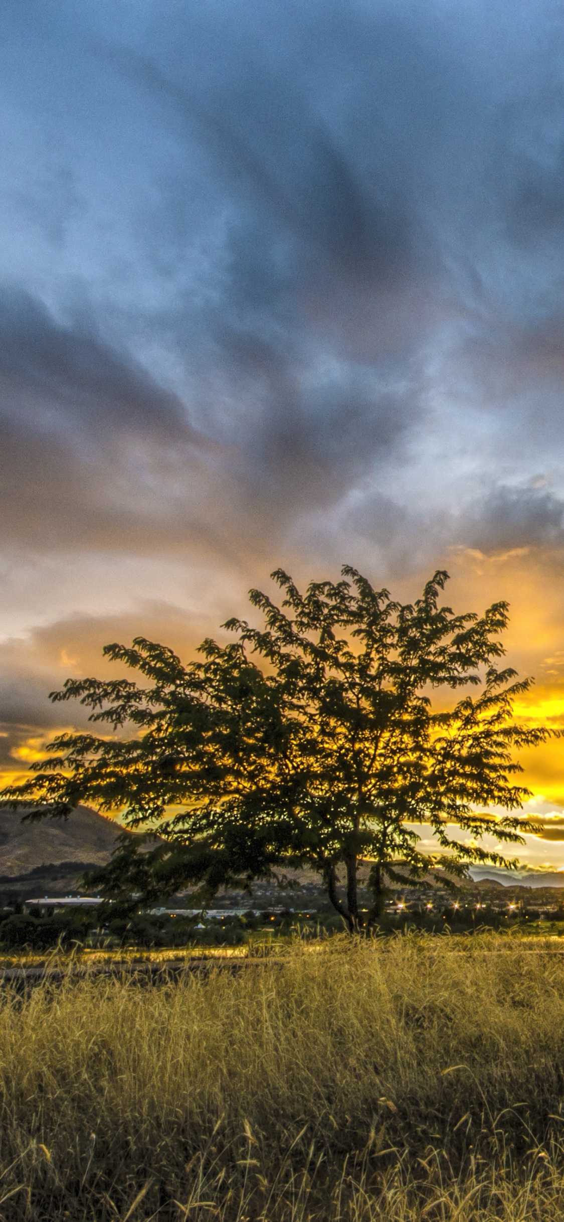 Обои закат, природа, облако, восход солнца, утро в разрешении 1125x2436