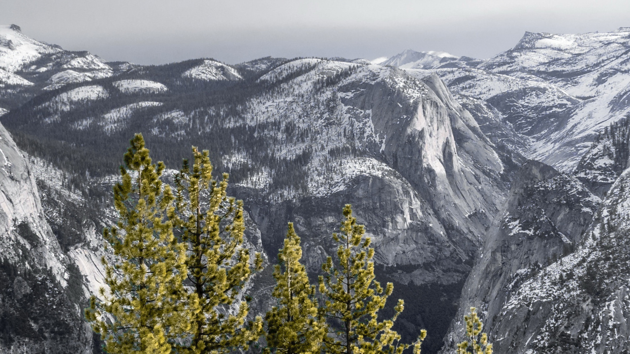 Обои снег, облако, гора, растение, склон в разрешении 1280x720