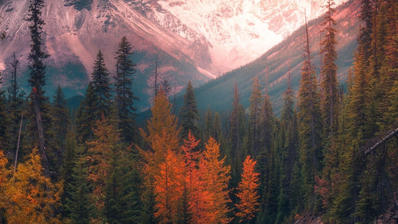 Обои облако, природа, арт, рисование, закат в разрешении 1366x768