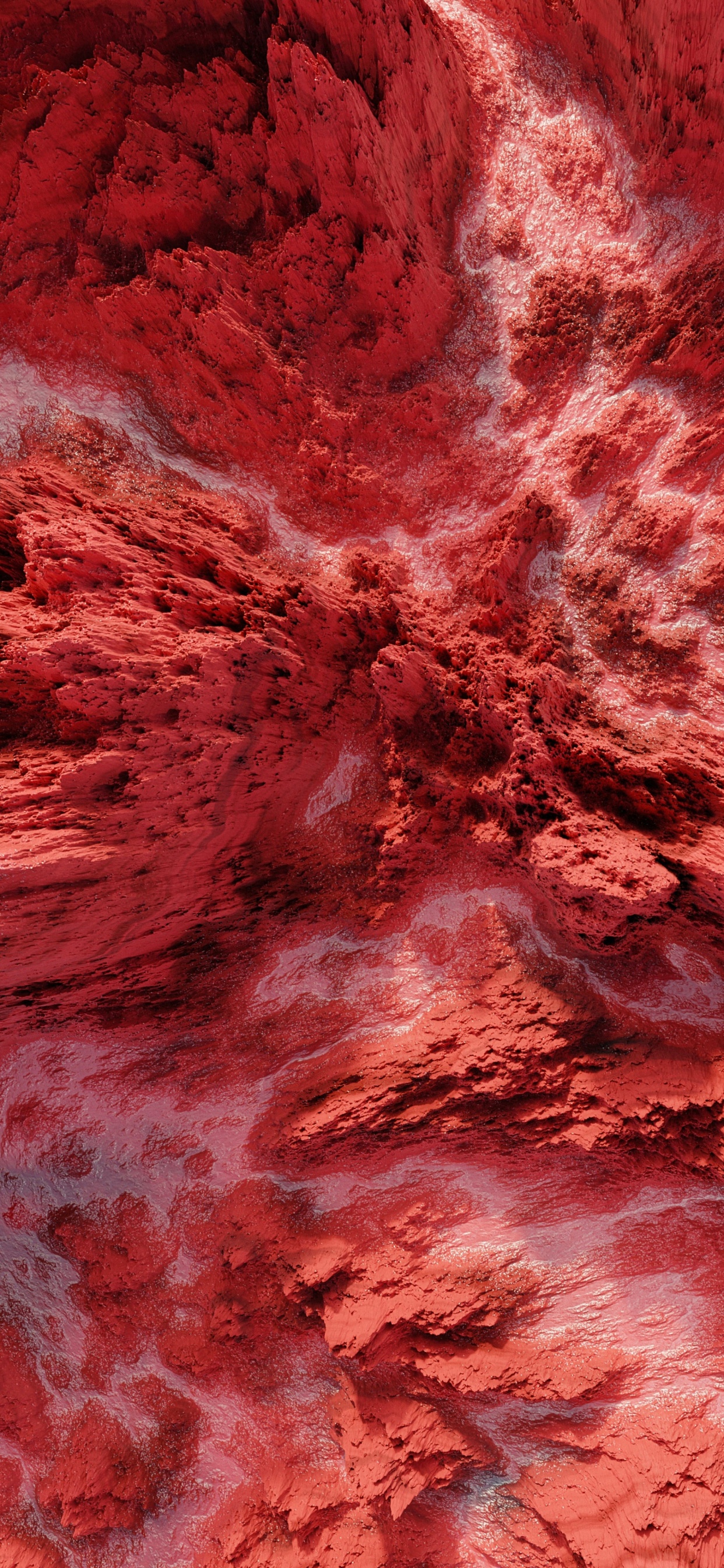 Обои земля, вода, розовый, древесина, пурпурный цвет в разрешении 1242x2688