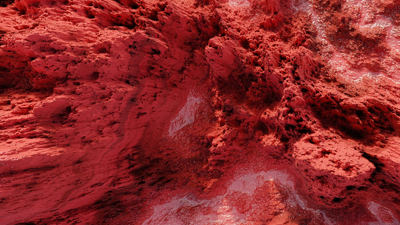 Обои земля, вода, розовый, древесина, пурпурный цвет в разрешении 1366x768