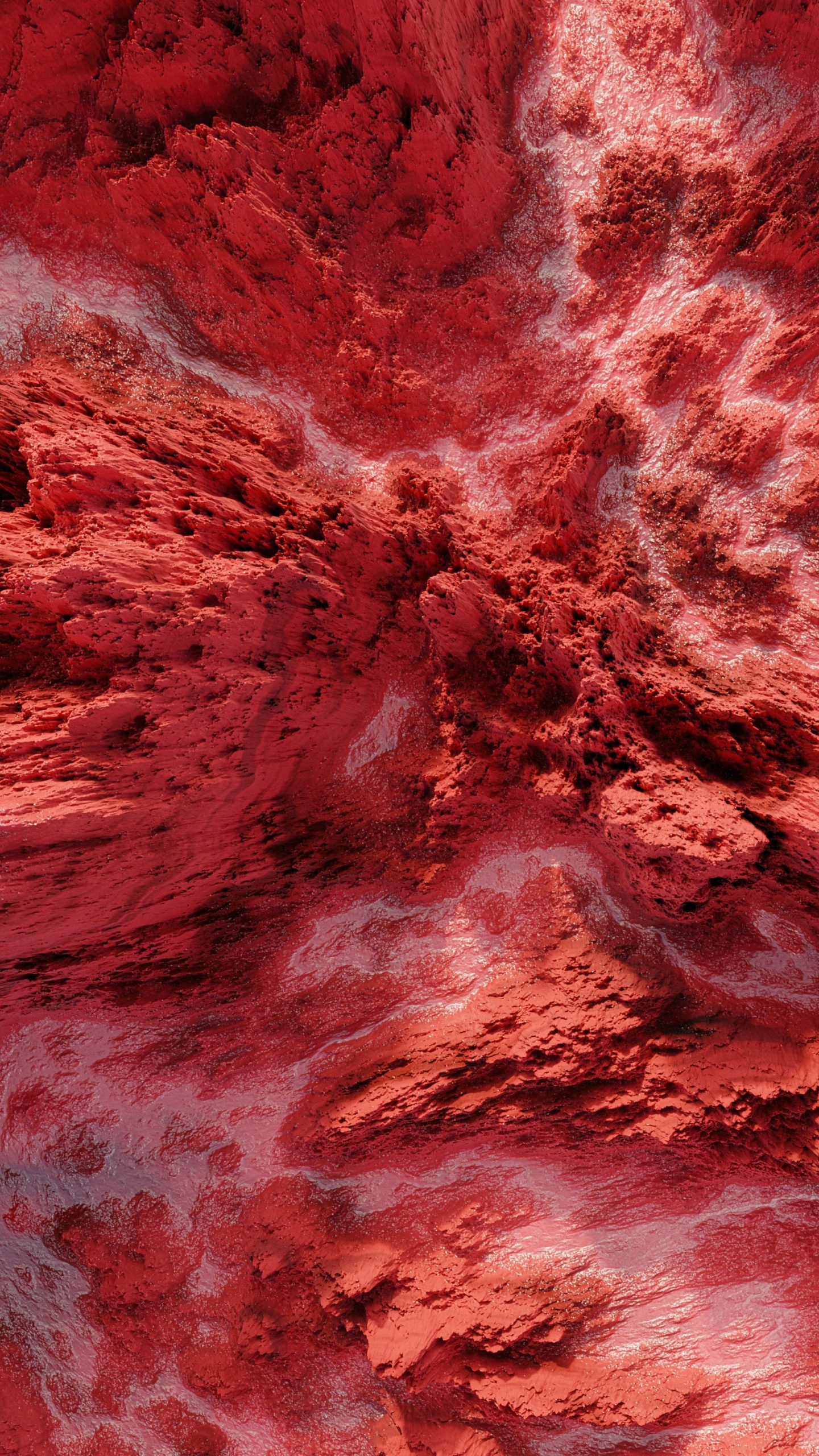 Обои земля, вода, розовый, древесина, пурпурный цвет в разрешении 1440x2560