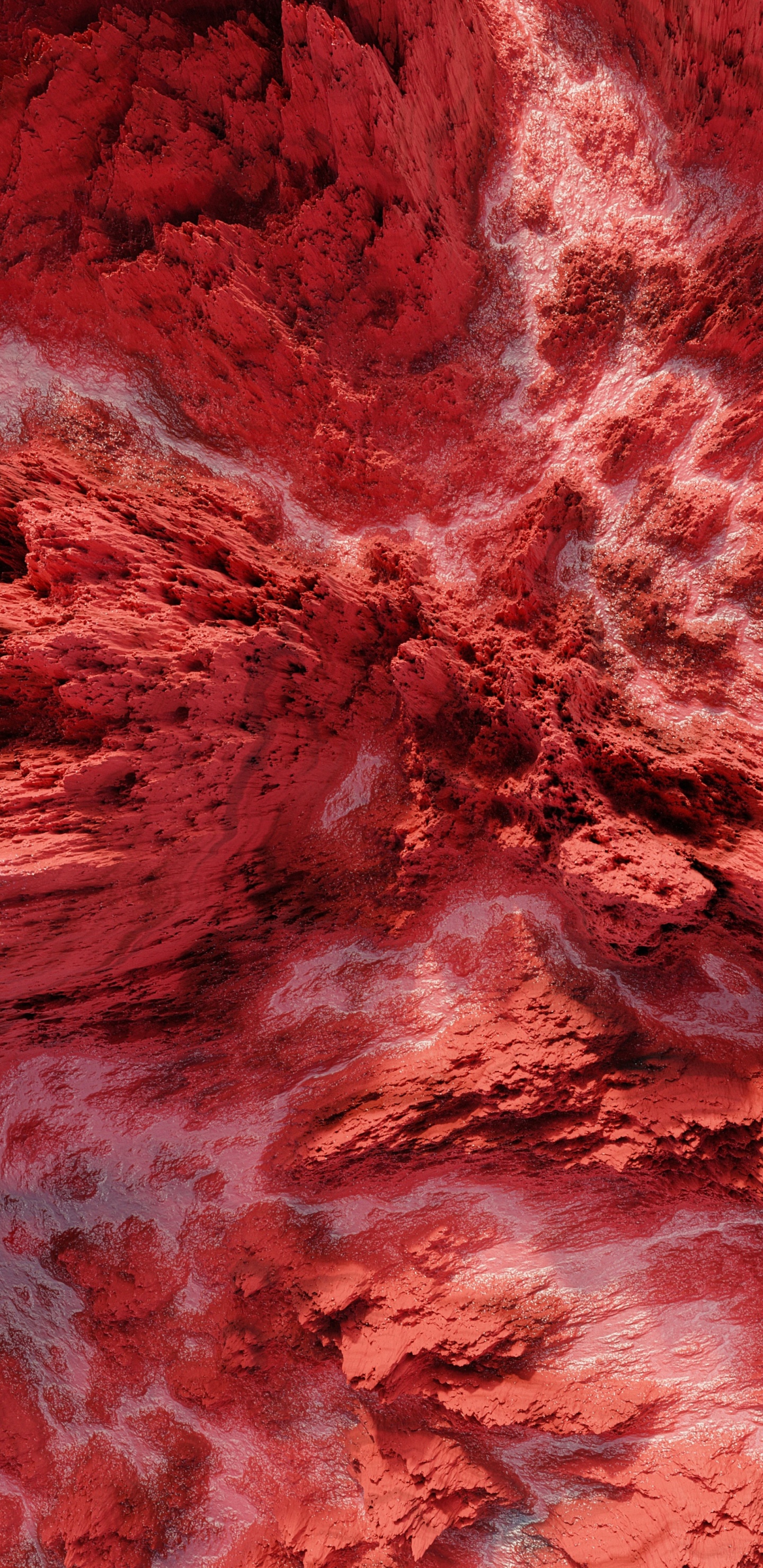 Обои земля, вода, розовый, древесина, пурпурный цвет в разрешении 1440x2960