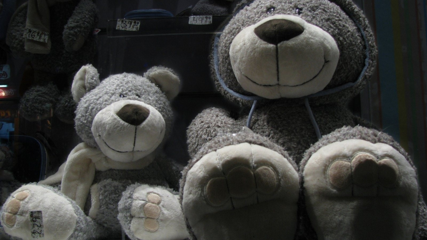 Обои мягкая игрушка, плюшевый мишка, плюш, кукла, медведь в разрешении 1366x768