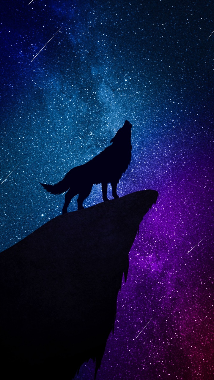 Обои звезда, астрономический объект, Астрономия, ночь, Созвездие в разрешении 720x1280