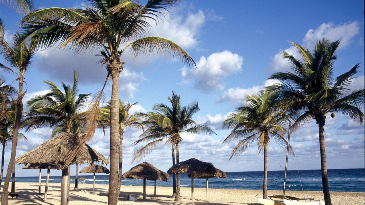 Обои пляж, Варадеро, достопримечательность, дерево, Пальма в разрешении 1280x720