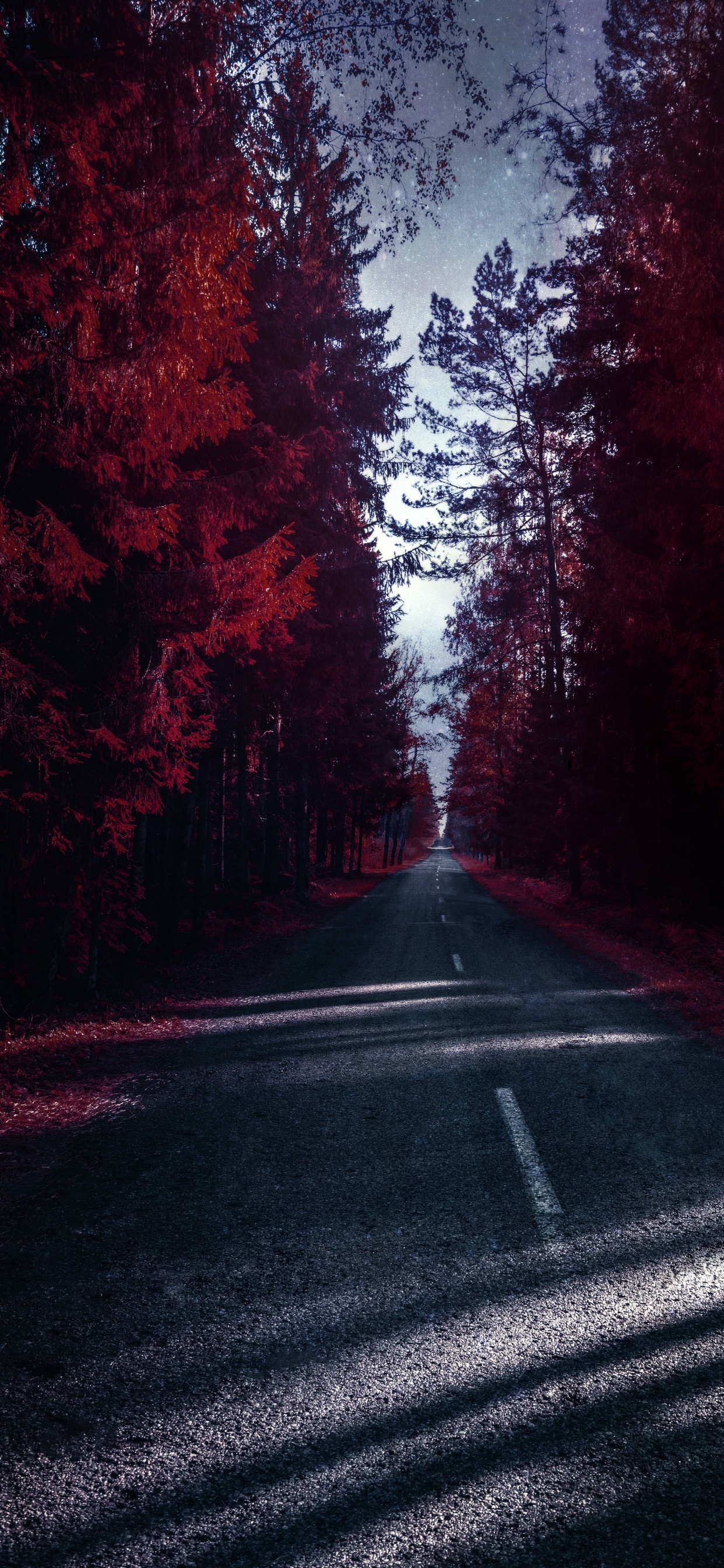 Обои природа, пейзаж, висгун - социальная сеть, автомобильное освещение, облако в разрешении 1242x2688