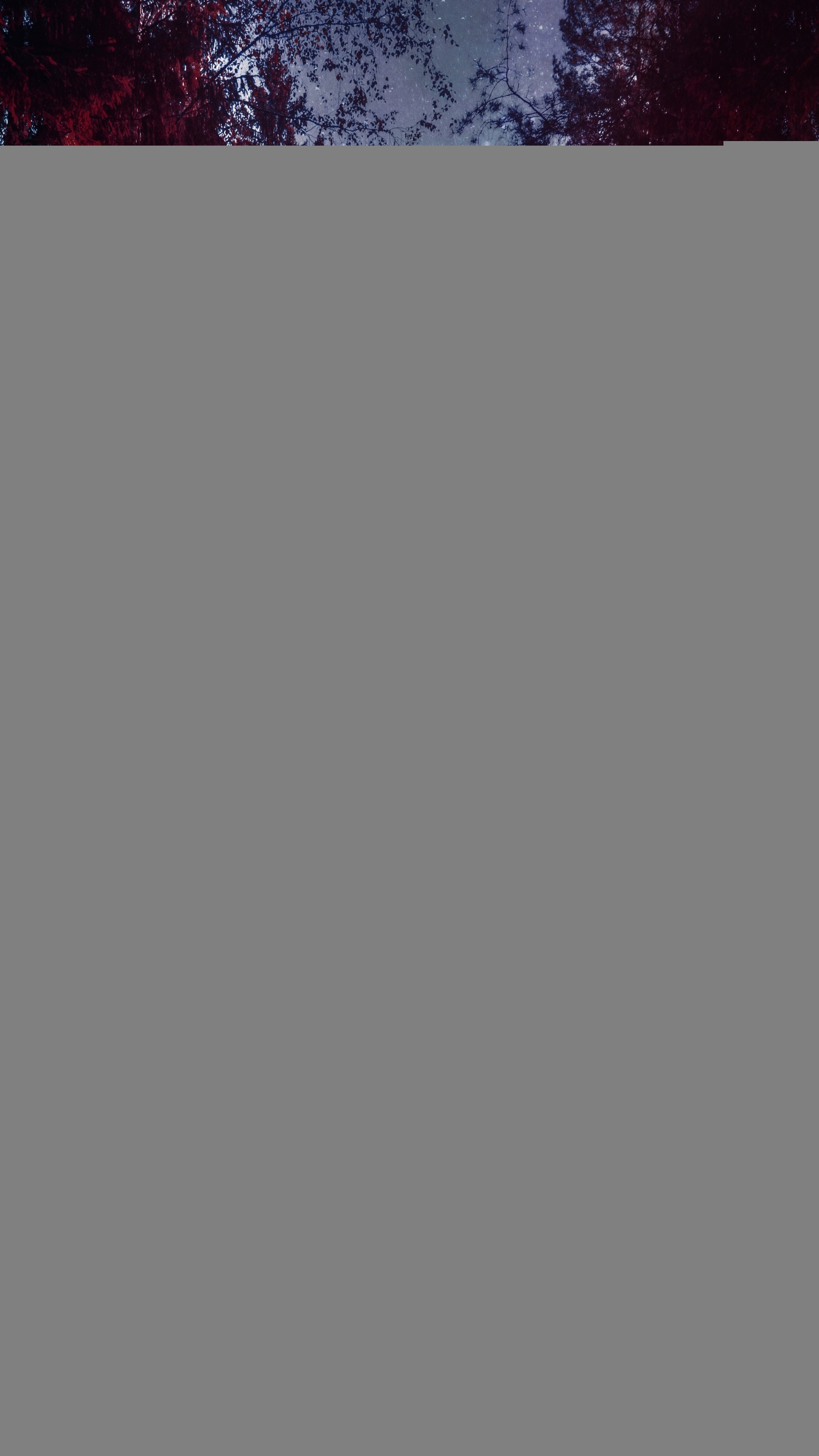 Обои природа, пейзаж, висгун - социальная сеть, автомобильное освещение, облако в разрешении 1440x2560